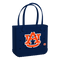 Auburn Tigers