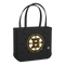 Boston Bruins