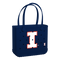 Illinois Fighting Illini
