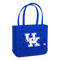 Kentucky Wildcats