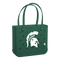 Michigan State Spartans
