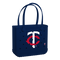 Minnesota Twins