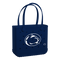 Penn State Nittany Lions