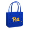 Pittsburgh Panthers