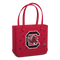 South Carolina Gamecocks