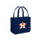 Houston Astros