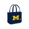 Michigan Wolverines