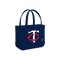 Minnesota Twins