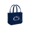 Penn State Nittany Lions