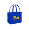 Pittsburgh Panthers