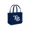 Tampa Bay Rays