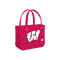 Wisconsin Badgers