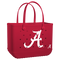 Alabama Crimson Tide