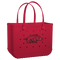 Arkansas Razorbacks