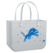 Detroit Lions