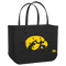 Iowa Hawkeyes