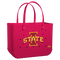 Iowa State Cyclones