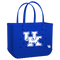 Kentucky Wildcats