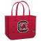 South Carolina Gamecocks