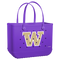 Washington Huskies